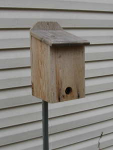 A roosting box has the hole at the bottom in order to retain heat. There are also perches inside the box for multiple birds.